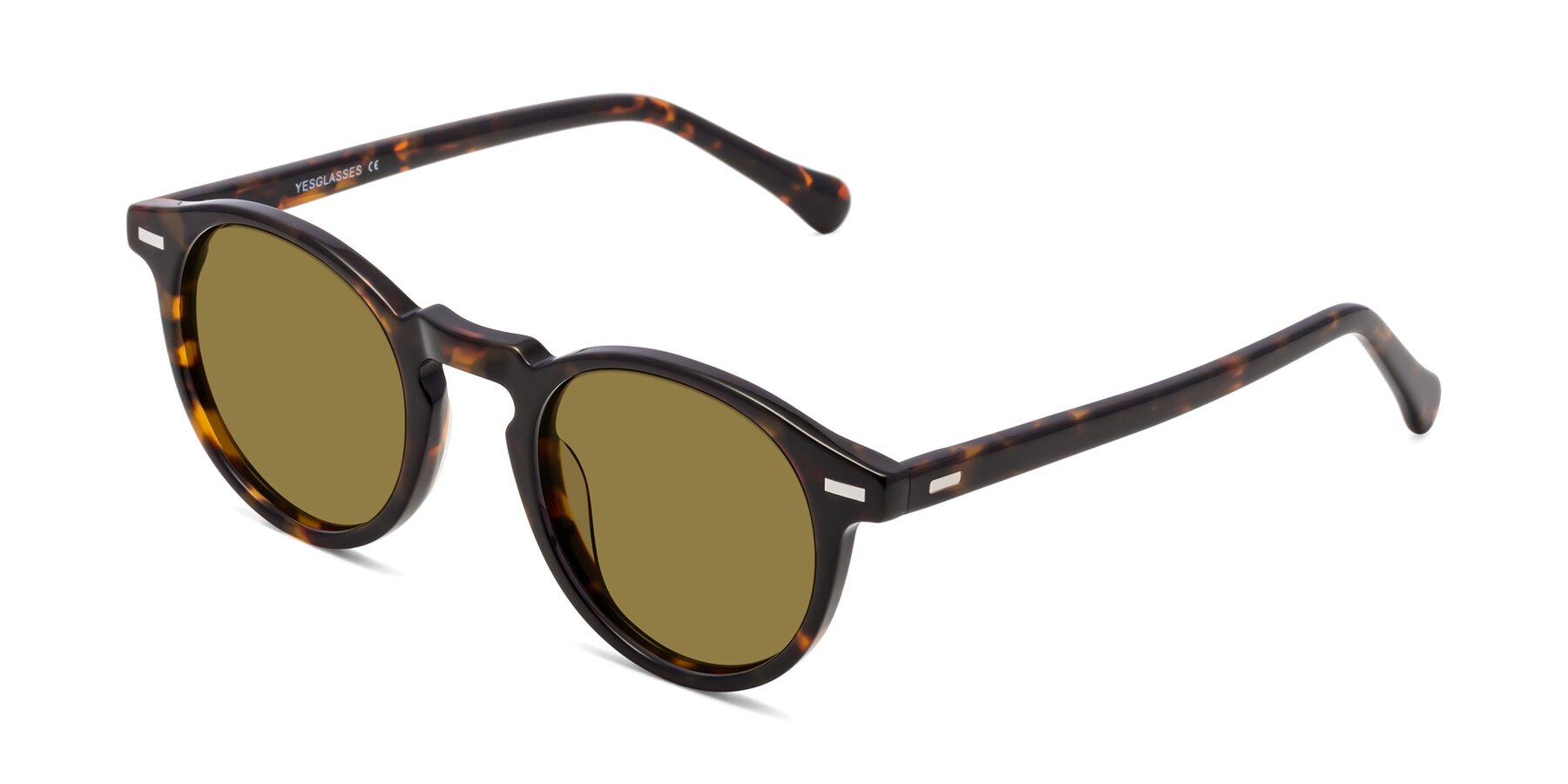 Angle of Anchorage in Tortoise with Brown Polarized Lenses
