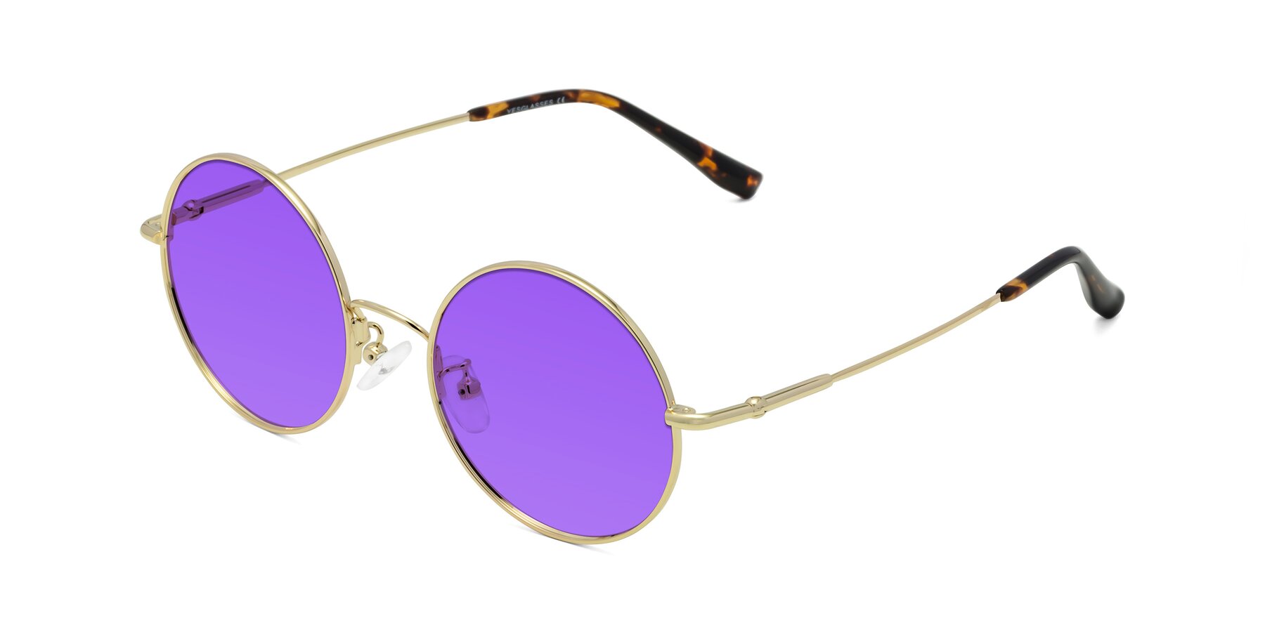 Angle of Belly in Gold with Purple Tinted Lenses