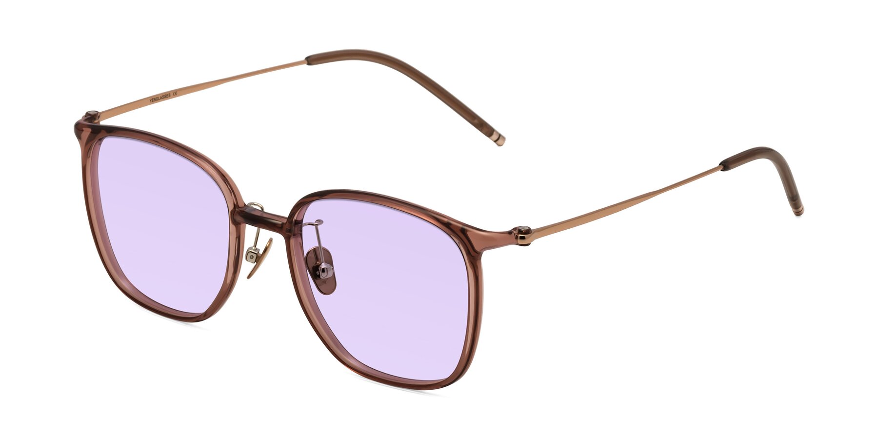 Angle of Manlius in Redwood with Light Purple Tinted Lenses
