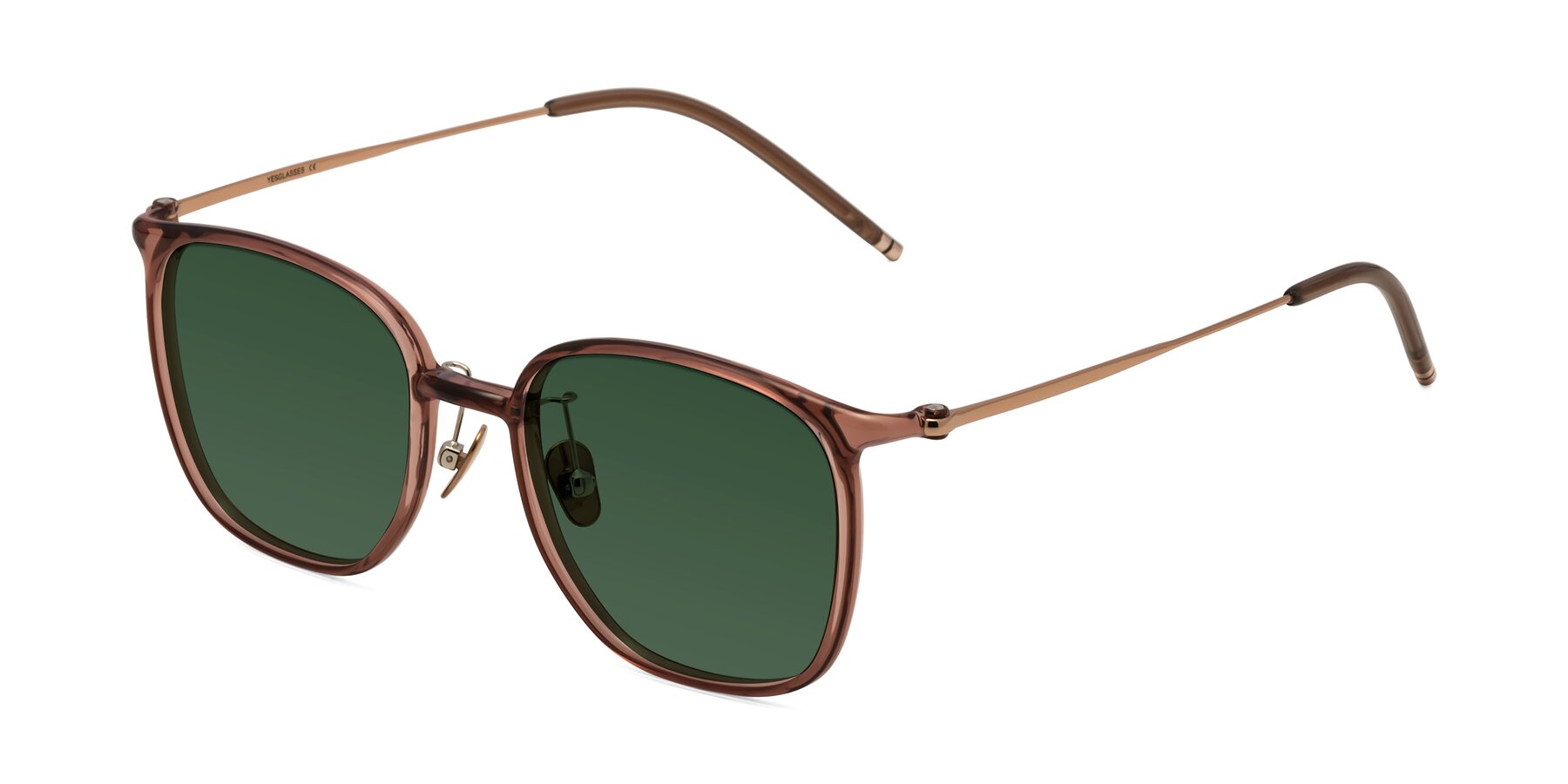 Angle of Manlius in Redwood with Green Tinted Lenses