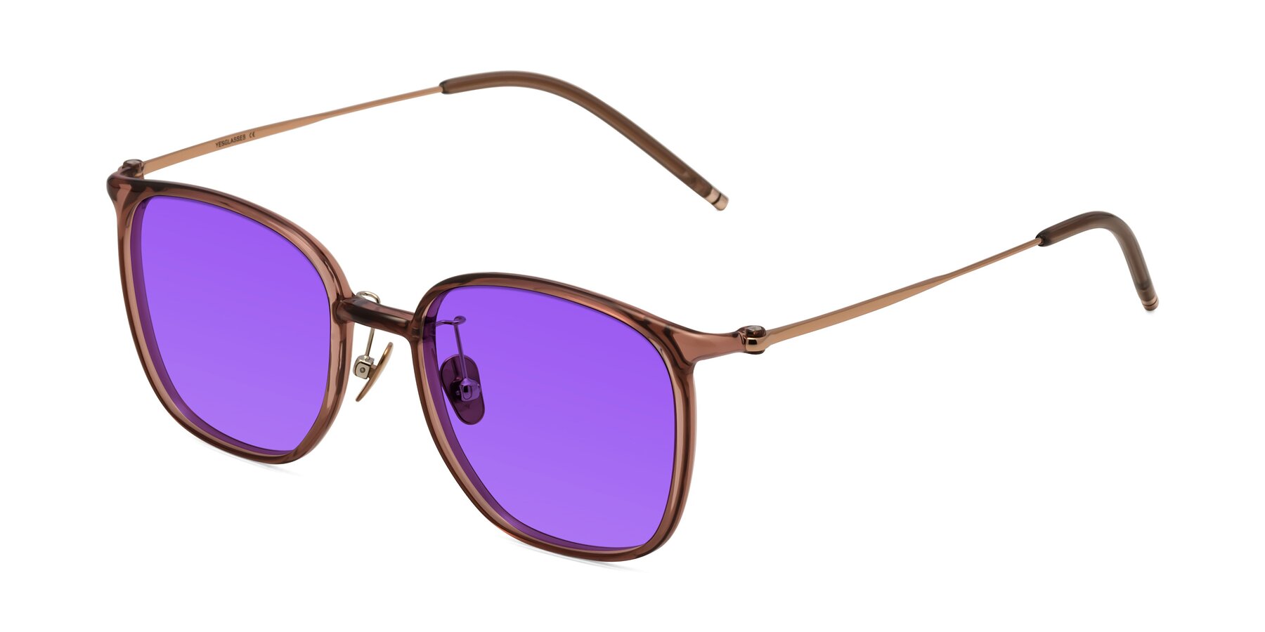 Angle of Manlius in Redwood with Purple Tinted Lenses