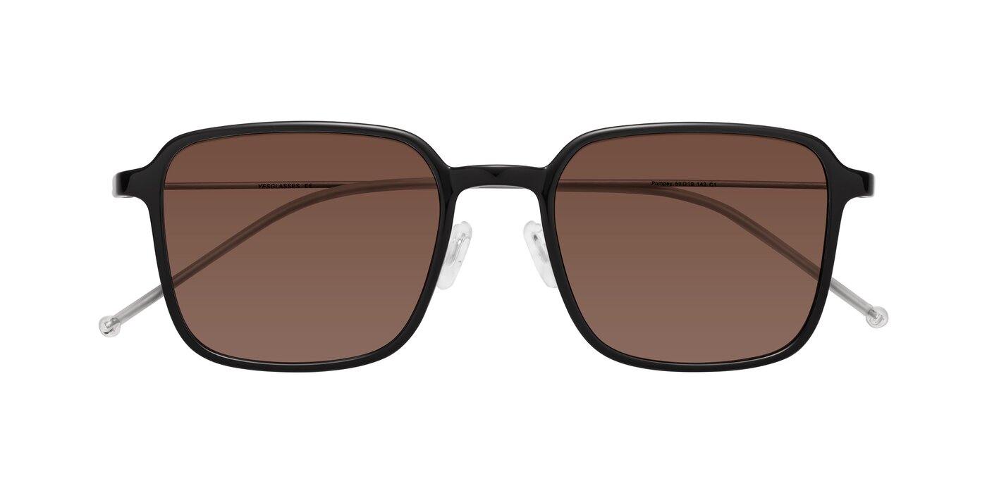 Pompey - Black Tinted Sunglasses
