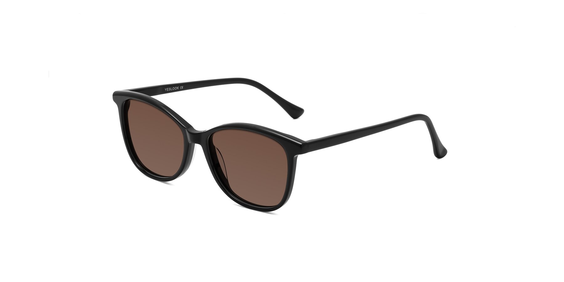 Angle of Creek in Black with Brown Tinted Lenses
