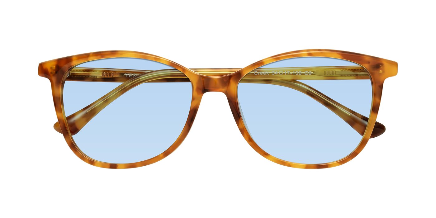 Creek - Amber Tortoise Tinted Sunglasses