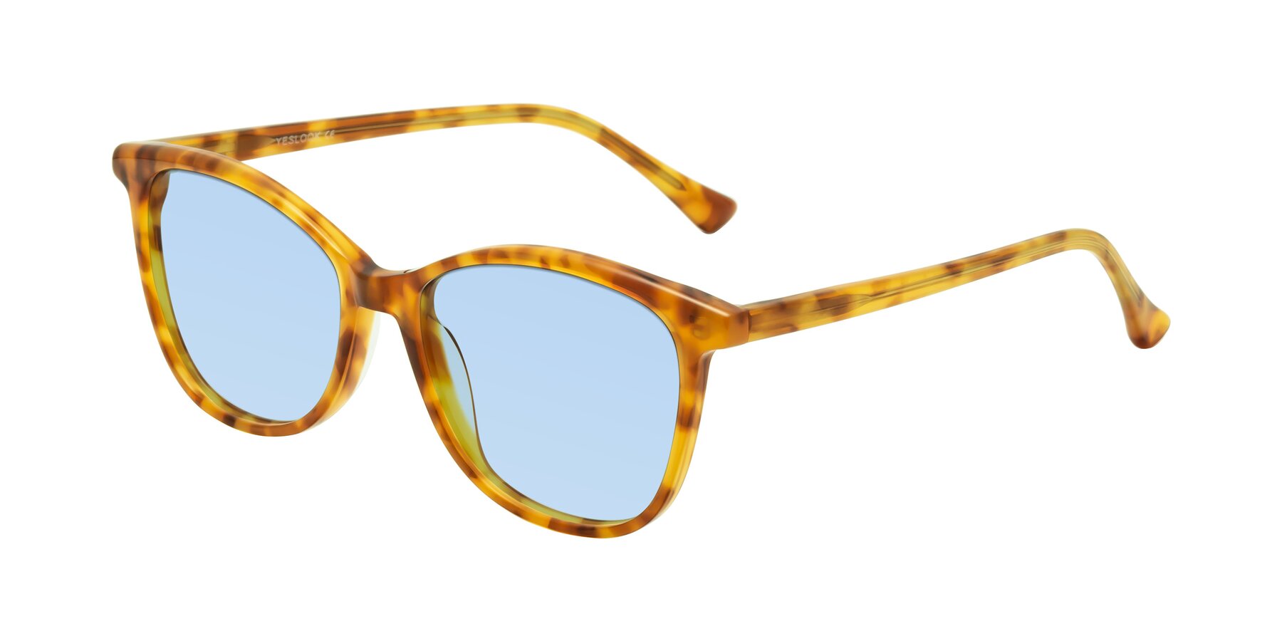 Angle of Creek in Amber Tortoise with Light Blue Tinted Lenses