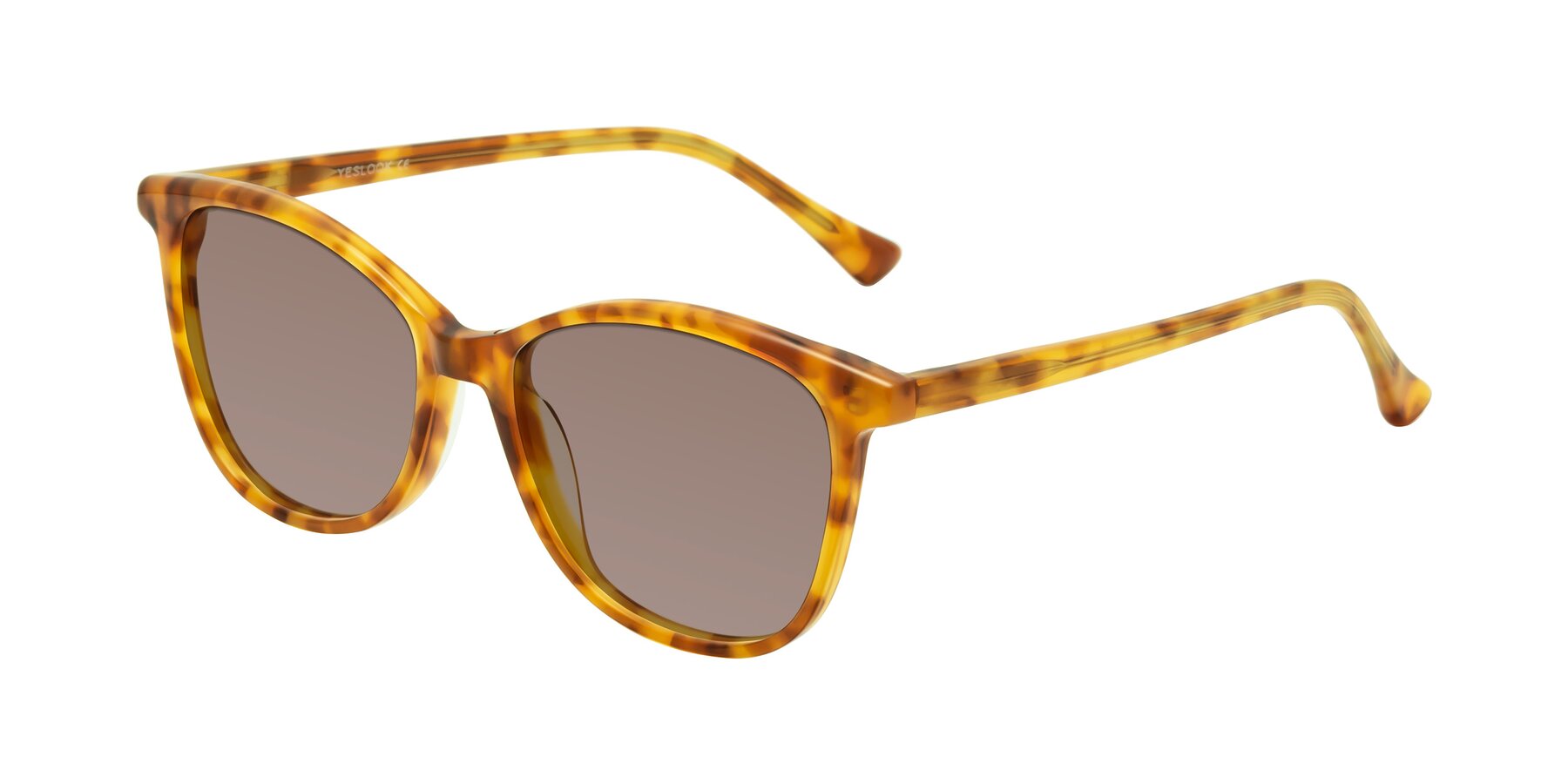 Angle of Creek in Amber Tortoise with Medium Brown Tinted Lenses