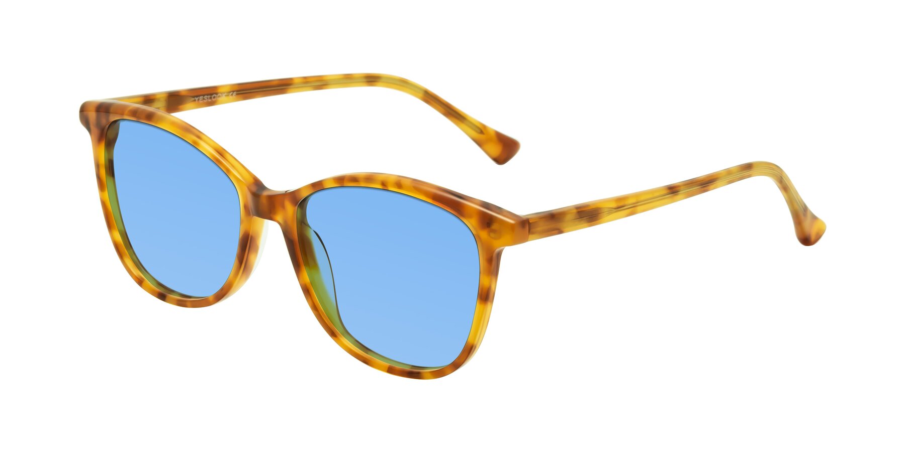 Angle of Creek in Amber Tortoise with Medium Blue Tinted Lenses