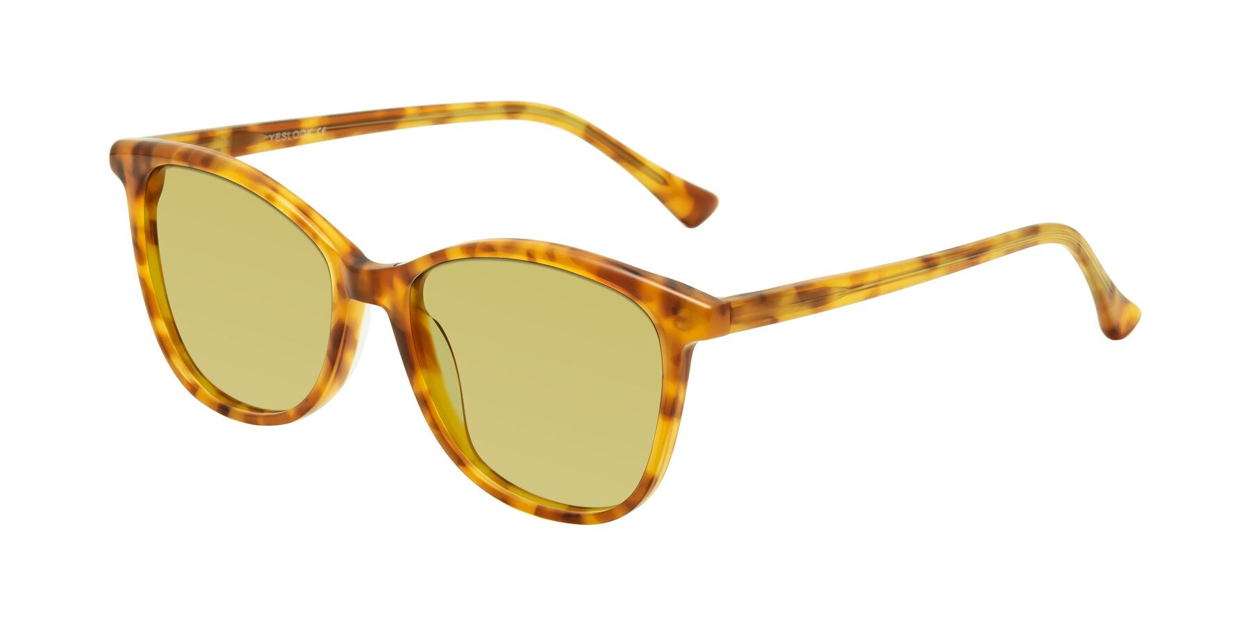 Angle of Creek in Amber Tortoise with Medium Champagne Tinted Lenses