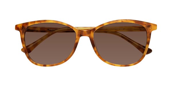 Front of Creek in Amber Tortoise