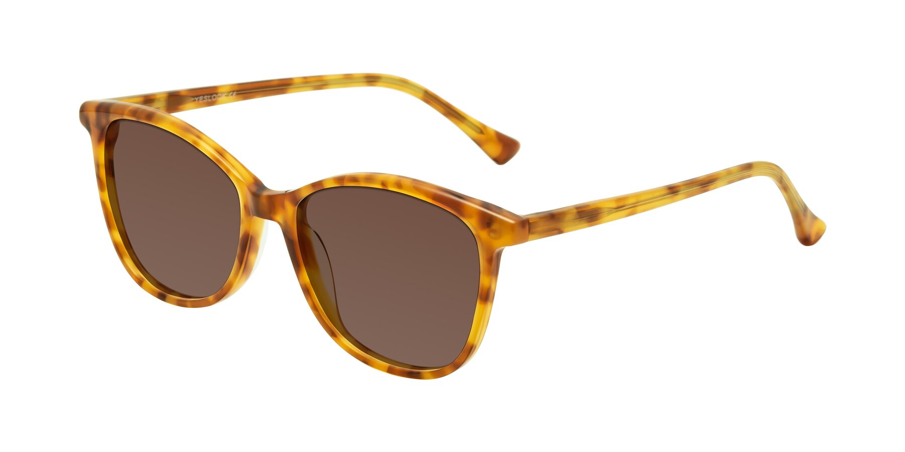 Angle of Creek in Amber Tortoise with Brown Tinted Lenses