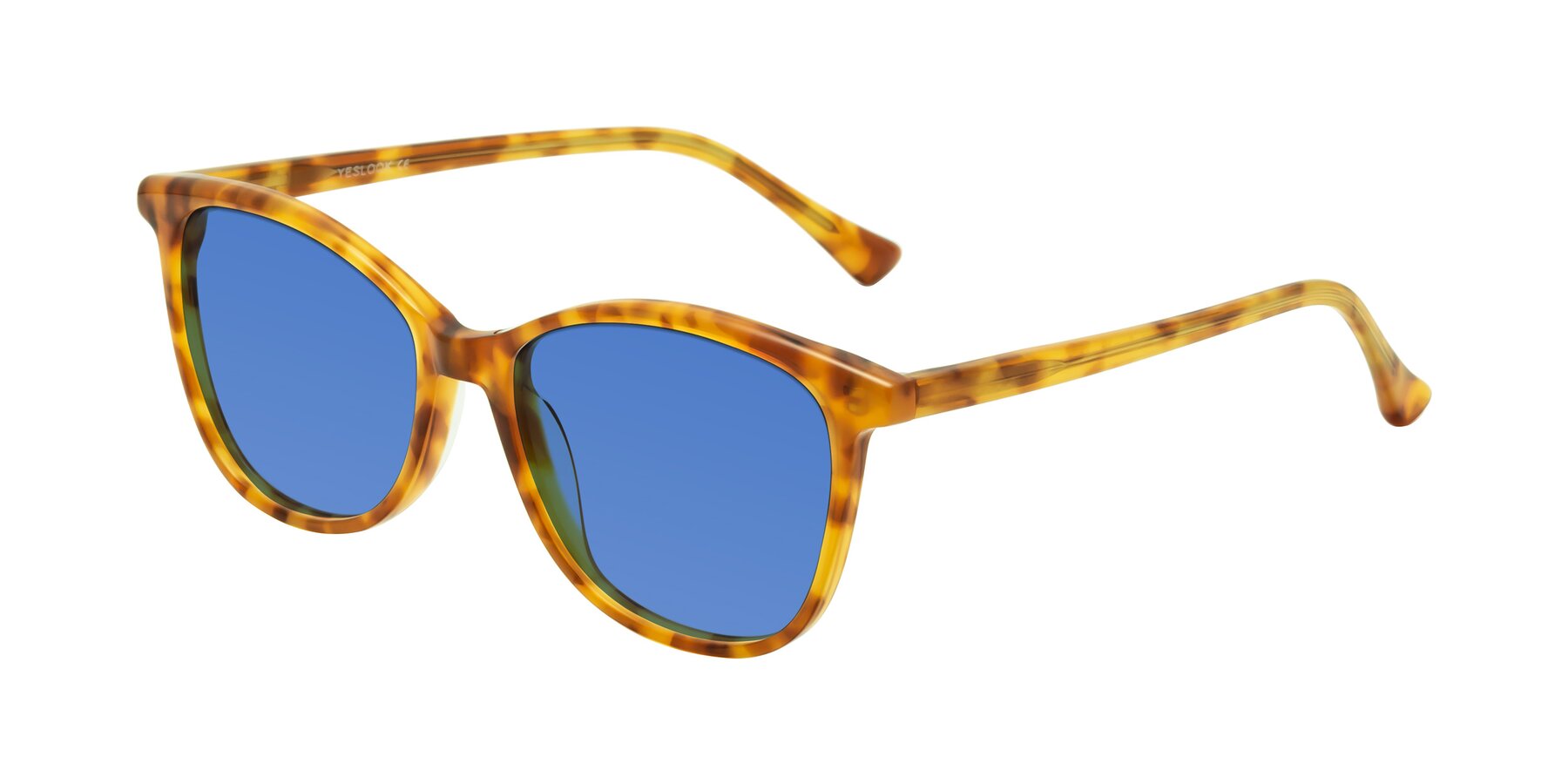Angle of Creek in Amber Tortoise with Blue Tinted Lenses