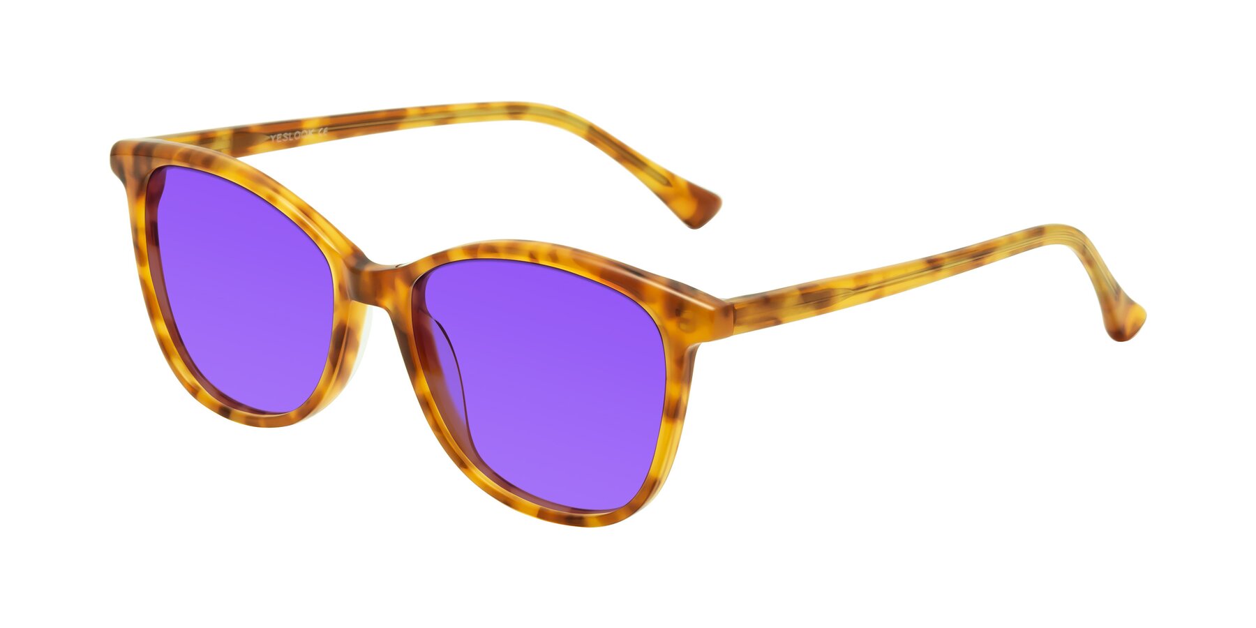 Angle of Creek in Amber Tortoise with Purple Tinted Lenses