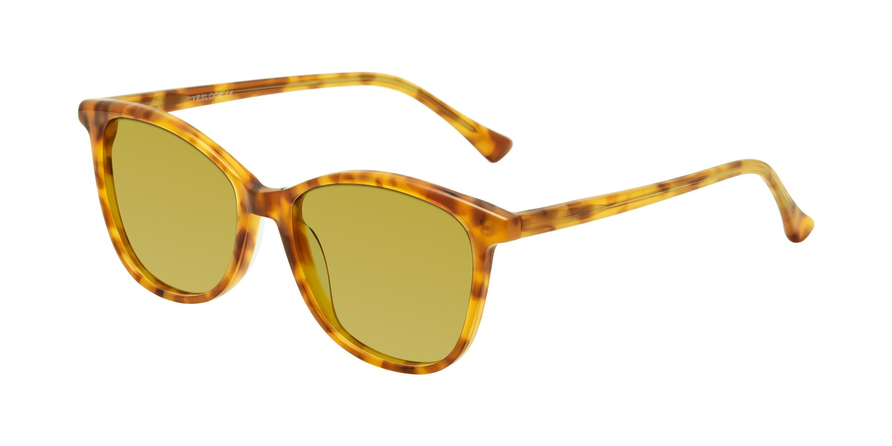 Angle of Creek in Amber Tortoise with Champagne Tinted Lenses