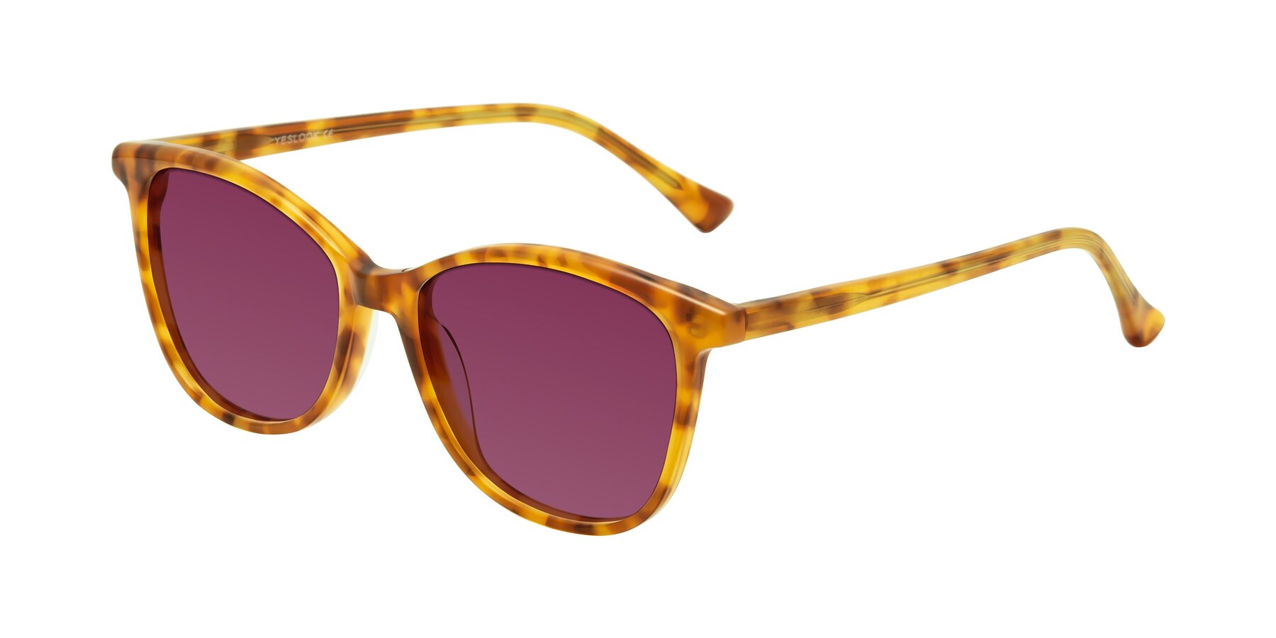 Angle of Creek in Amber Tortoise with Wine Tinted Lenses