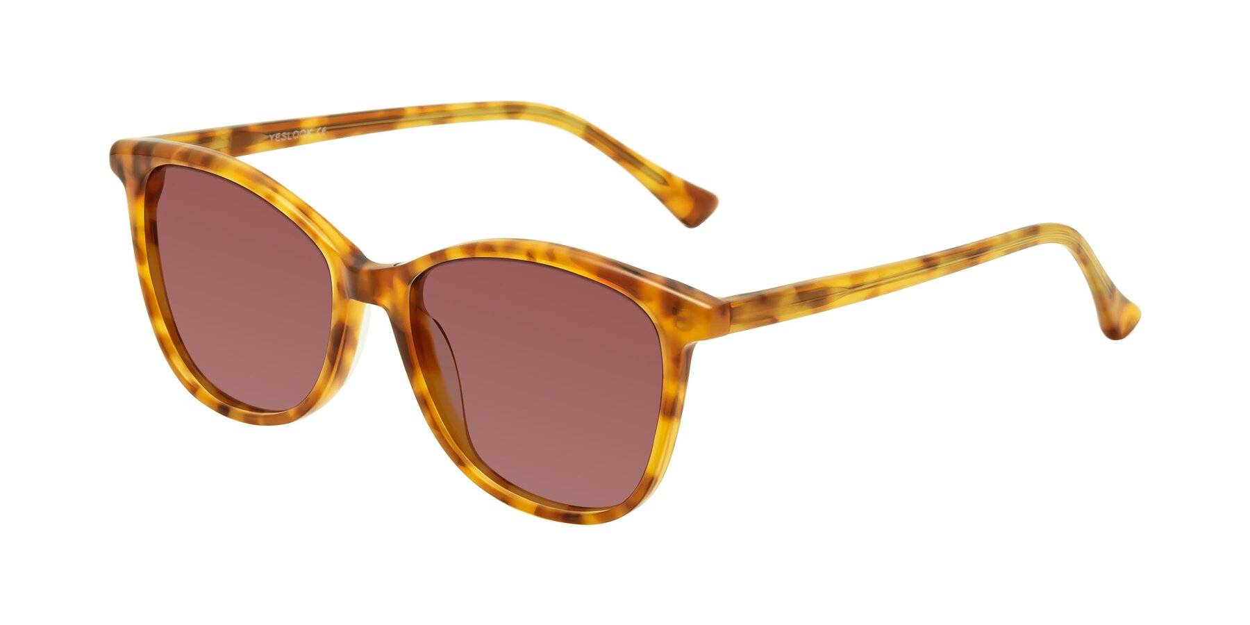 Angle of Creek in Amber Tortoise with Garnet Tinted Lenses