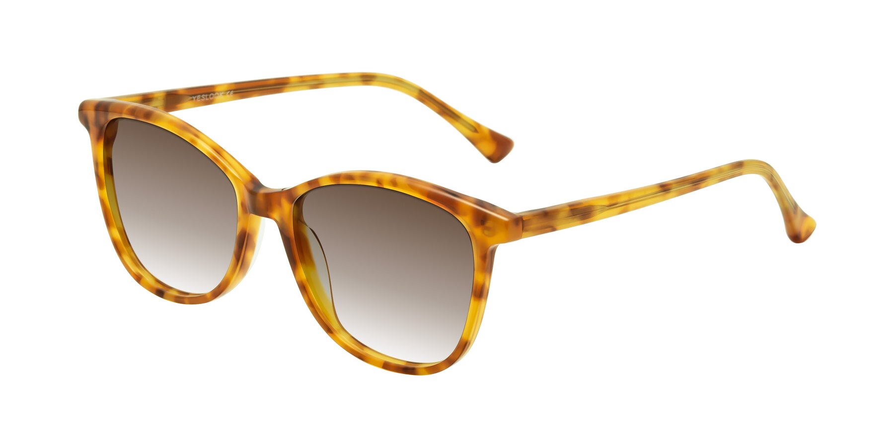 Angle of Creek in Amber Tortoise with Brown Gradient Lenses