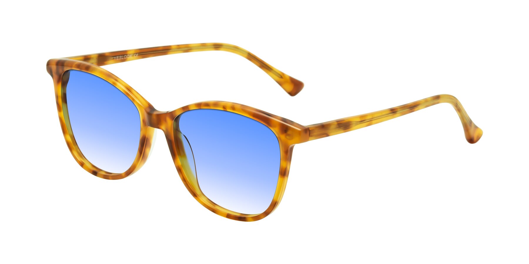 Angle of Creek in Amber Tortoise with Blue Gradient Lenses