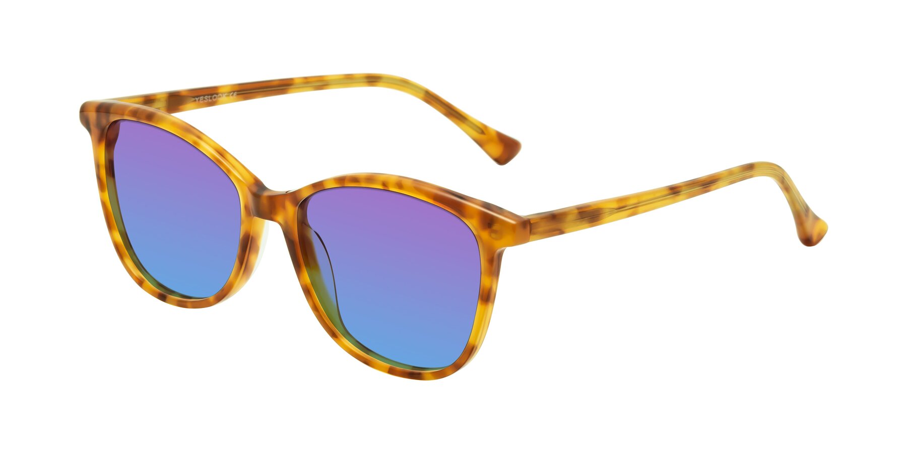 Angle of Creek in Amber Tortoise with Purple / Blue Gradient Lenses