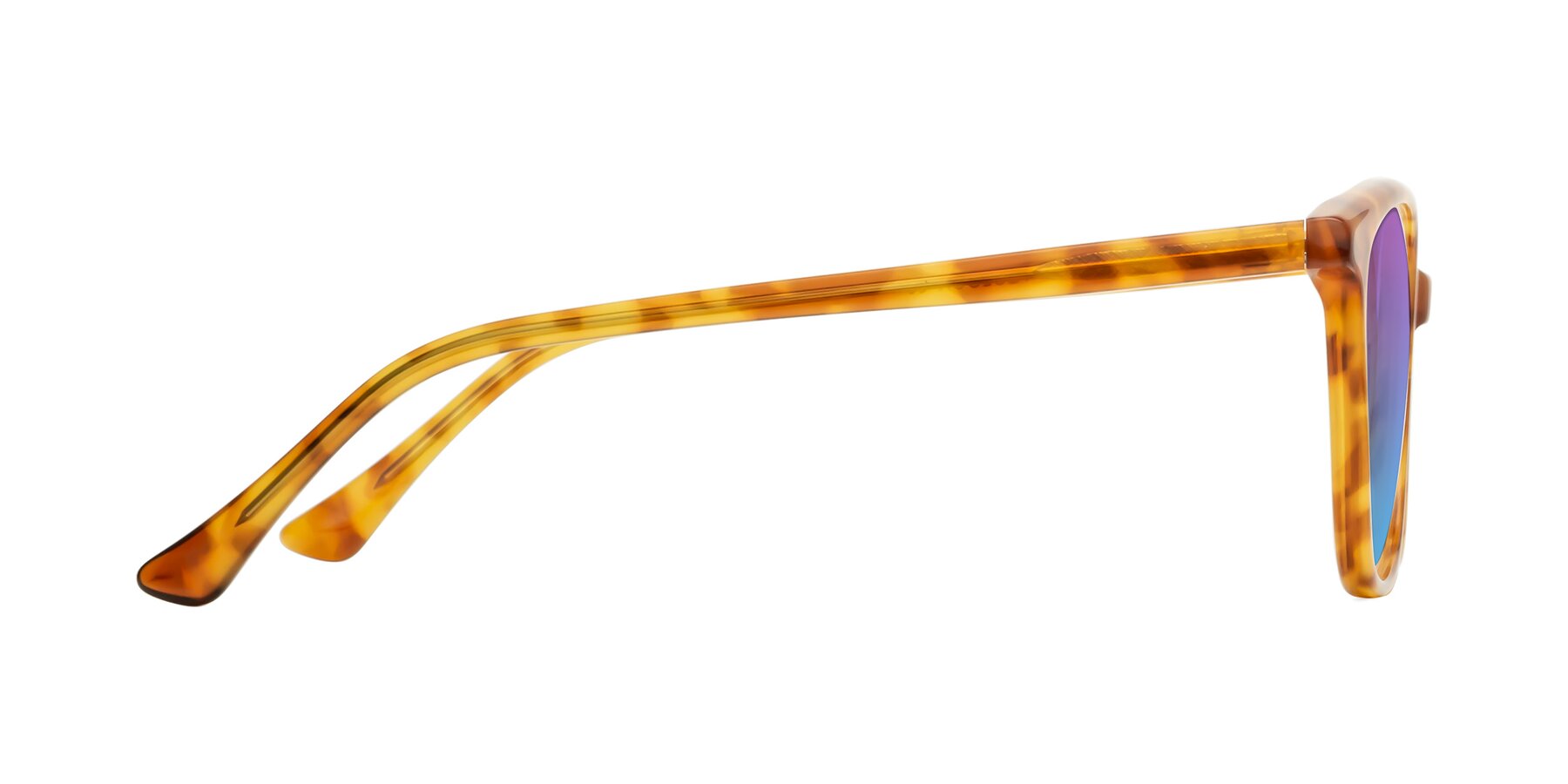 Side of Creek in Amber Tortoise with Purple / Blue Gradient Lenses