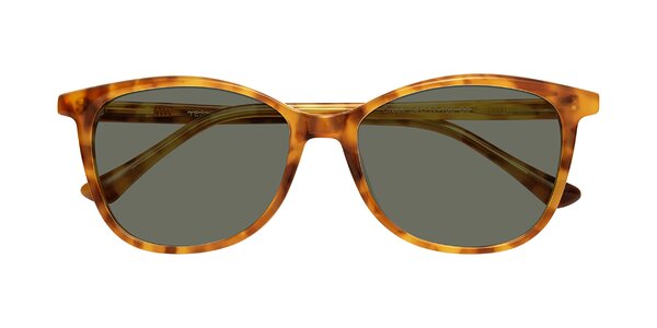 Front of Creek in Amber Tortoise