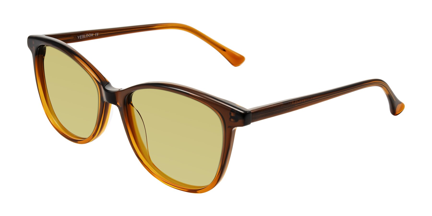 Angle of Creek in Gradient Brown with Medium Champagne Tinted Lenses