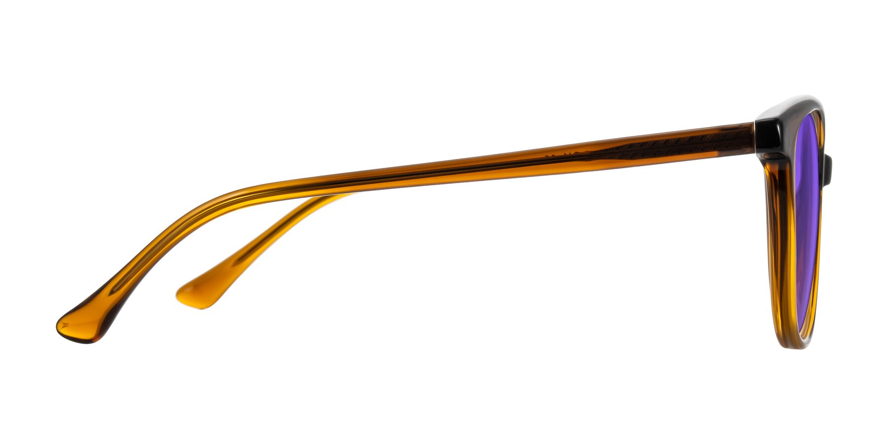Side of Creek in Gradient Brown with Purple Tinted Lenses