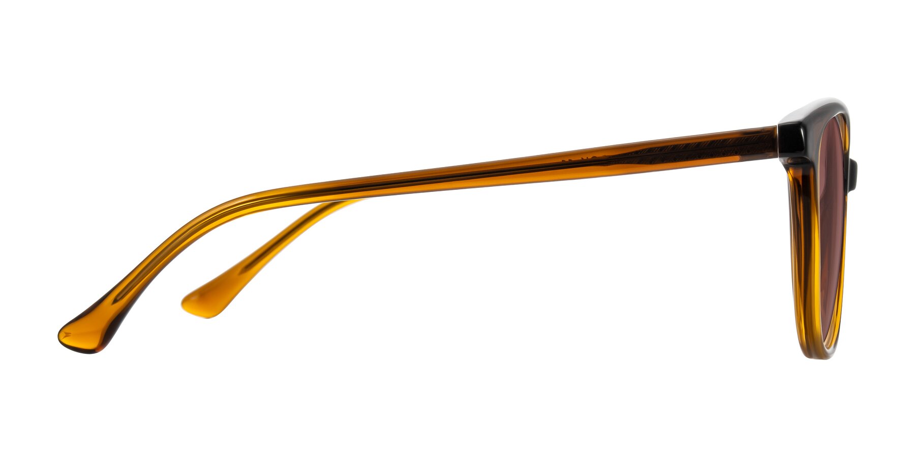 Side of Creek in Gradient Brown with Garnet Tinted Lenses