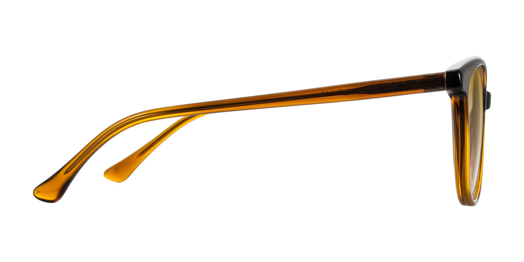Side of Creek in Gradient Brown with Champagne Gradient Lenses