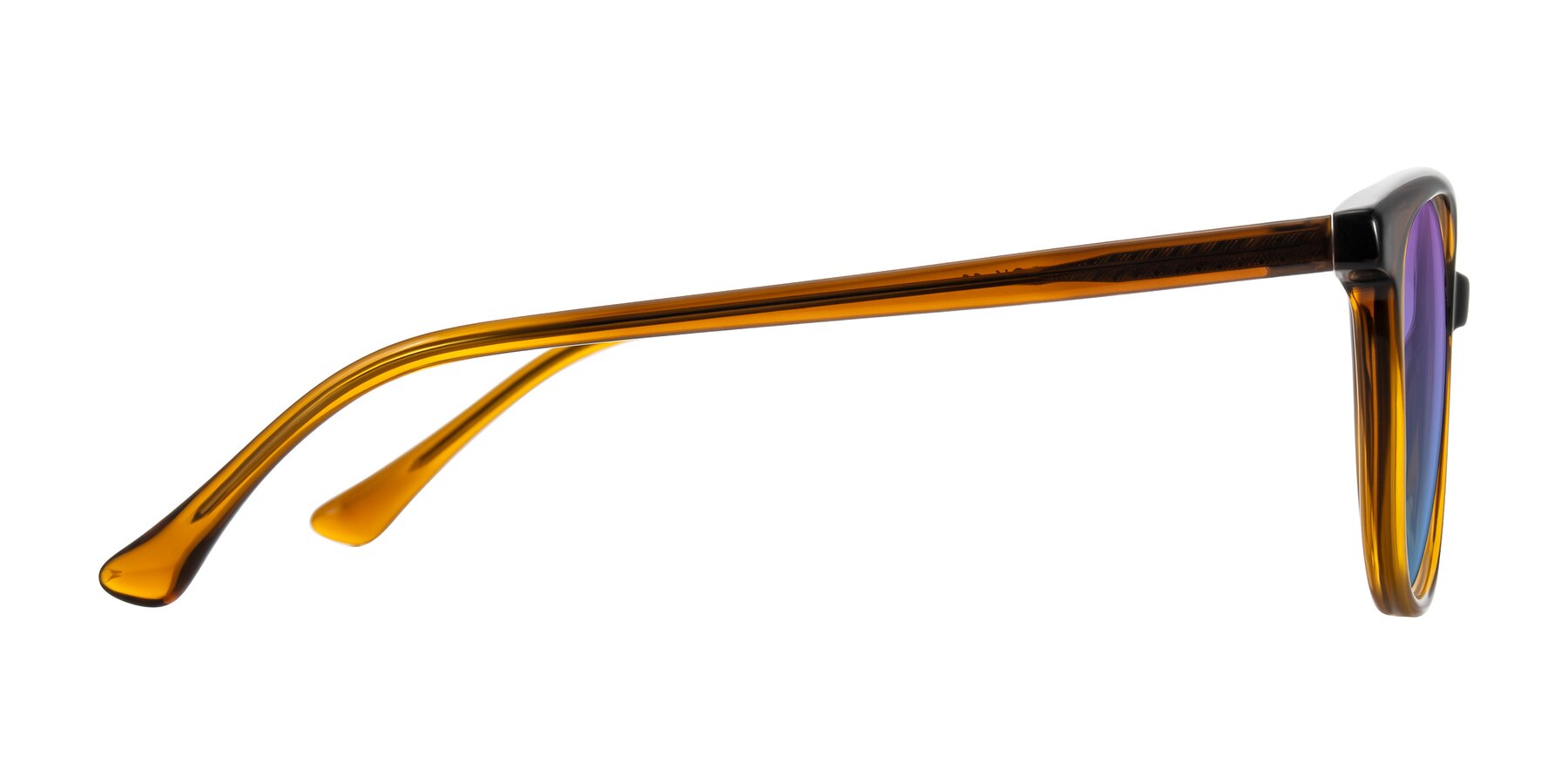 Side of Creek in Gradient Brown with Purple / Blue Gradient Lenses