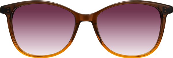 Gradient Brown Lightweight Acetate Cat-Eye Gradient Sunglasses with ...