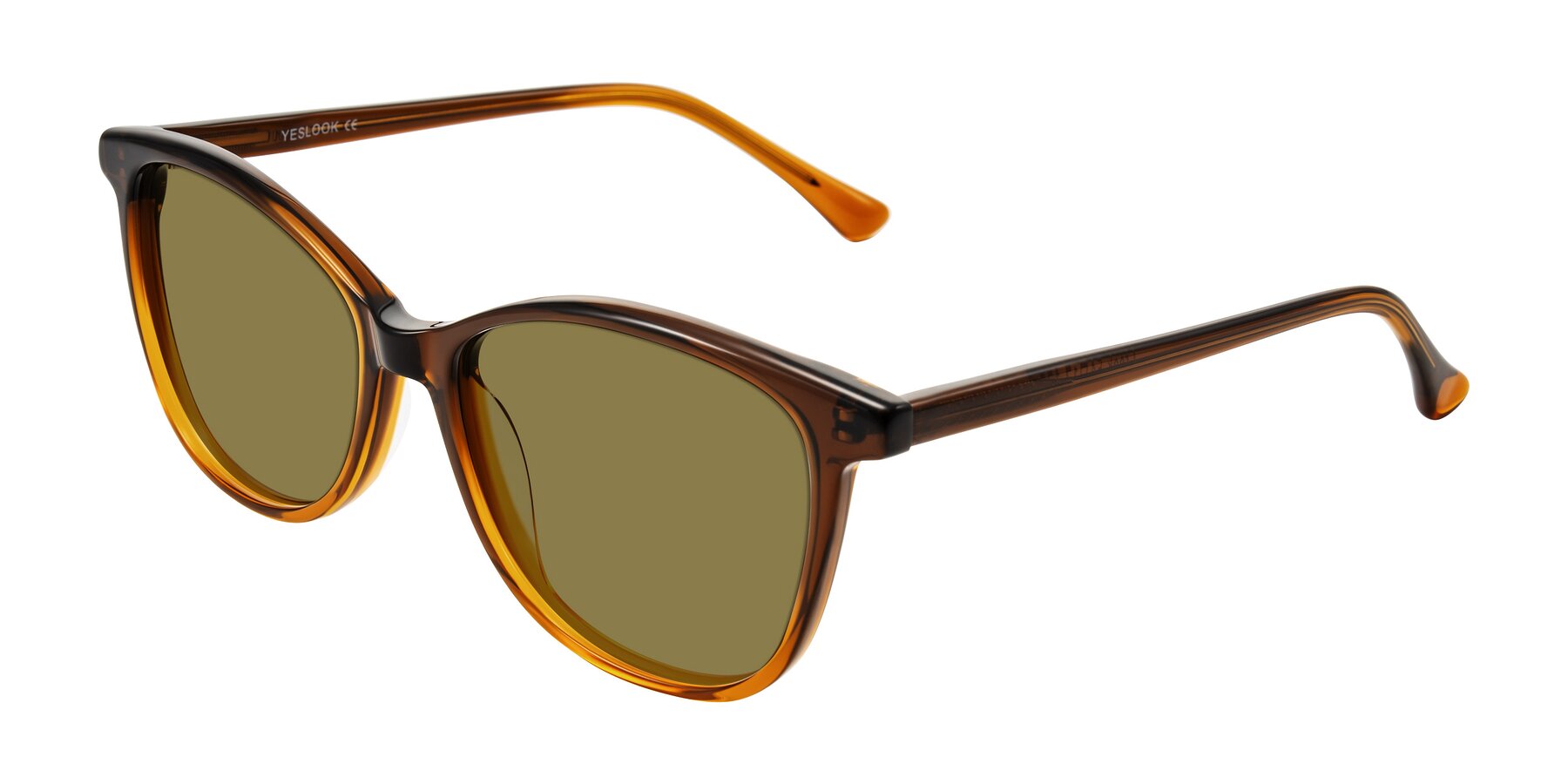 Angle of Creek in Gradient Brown with Brown Polarized Lenses