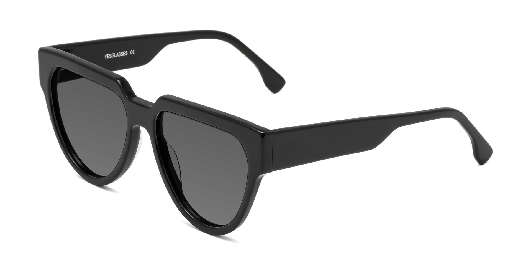 Angle of Yorke in Black with Medium Gray Tinted Lenses