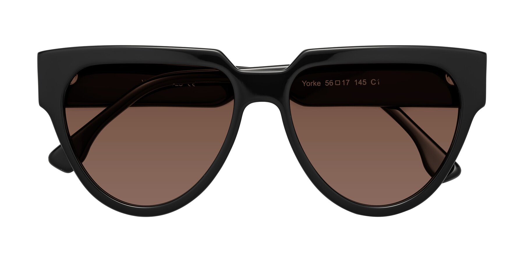 Folded Front of Yorke in Black with Brown Tinted Lenses