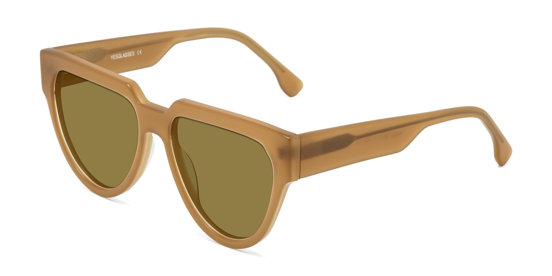Angle of Yorke in Caramel with Brown Polarized Lenses