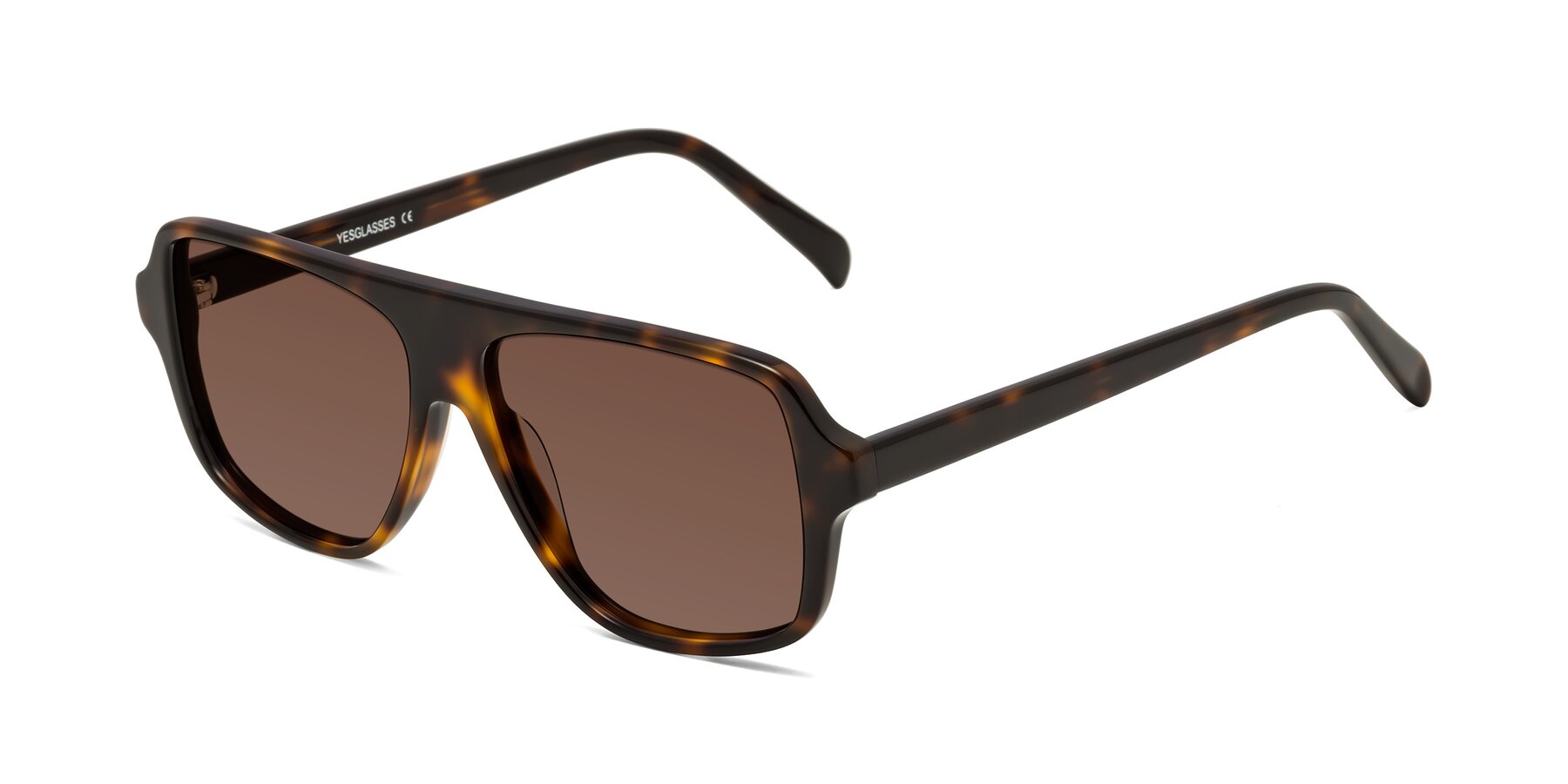 Angle of O'Leary in Tortoise with Brown Tinted Lenses