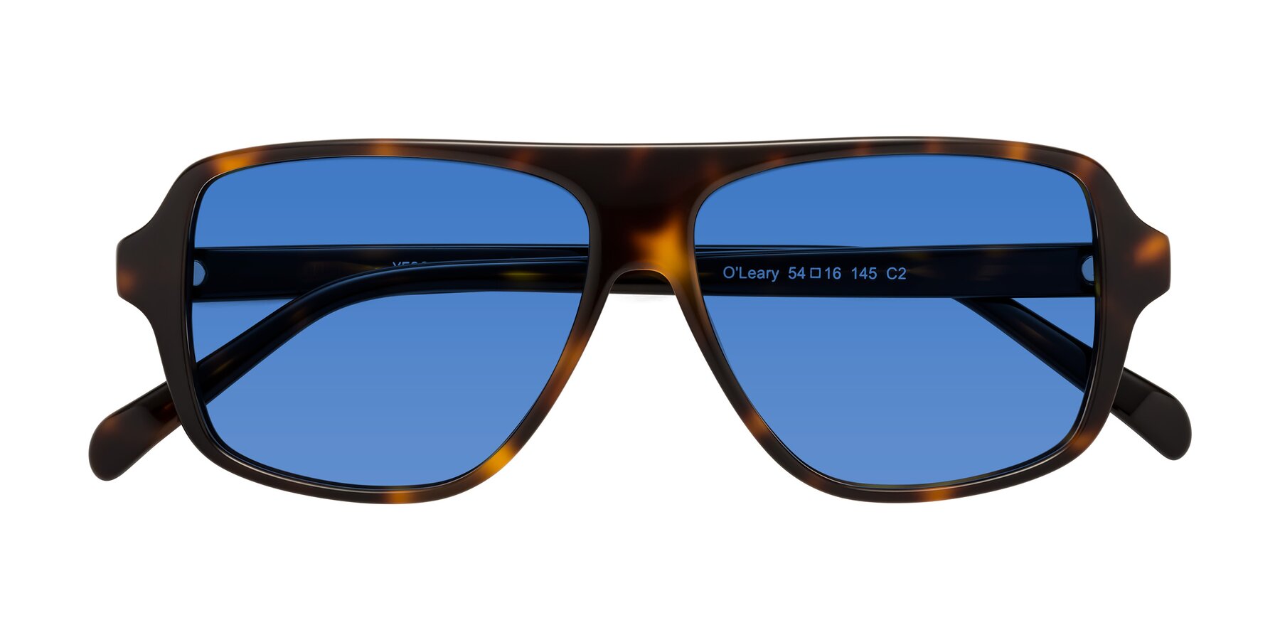 Folded Front of O'Leary in Tortoise with Blue Tinted Lenses