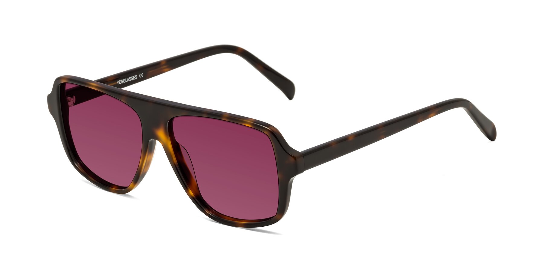 Angle of O'Leary in Tortoise with Wine Tinted Lenses