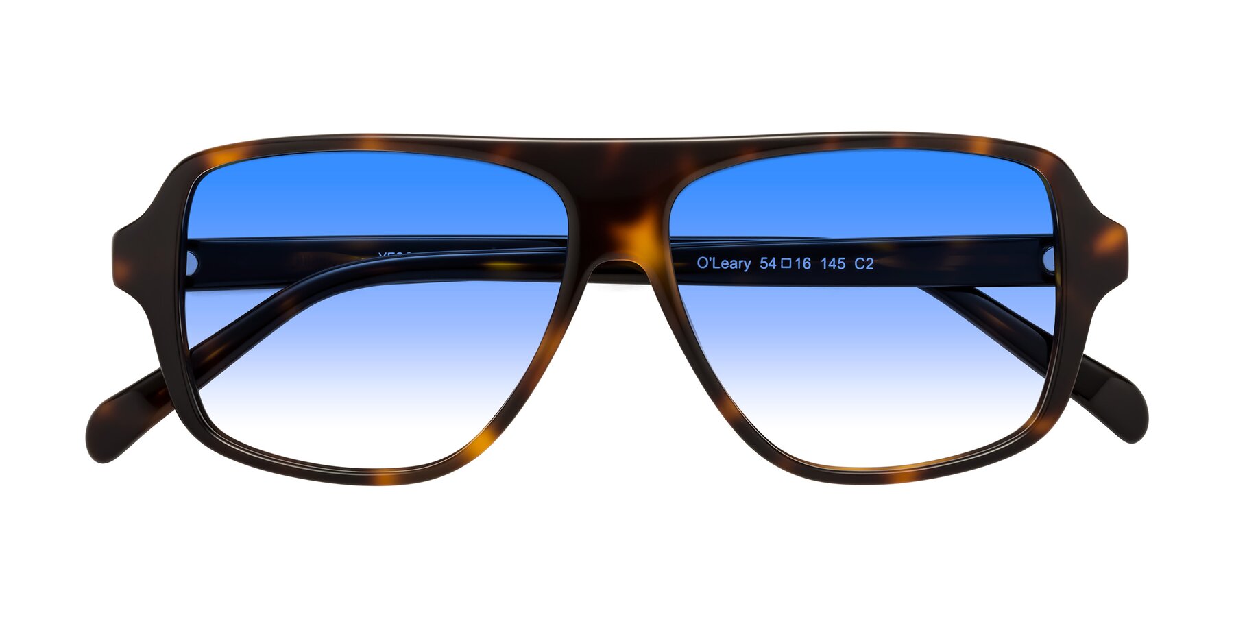 Folded Front of O'Leary in Tortoise with Blue Gradient Lenses