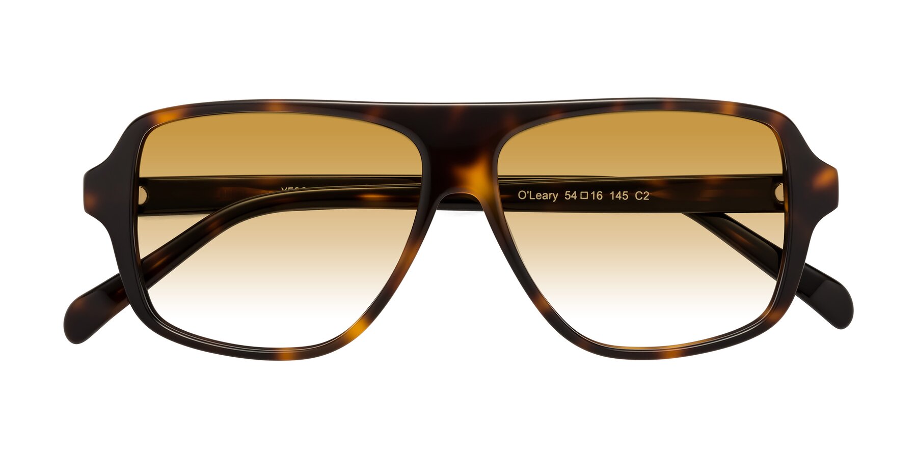 Folded Front of O'Leary in Tortoise with Champagne Gradient Lenses