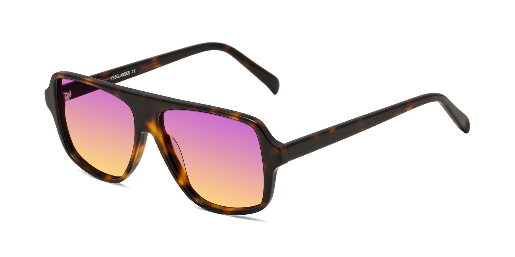Angle of O'Leary in Tortoise with Purple / Yellow Gradient Lenses