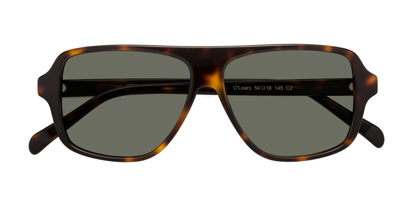O'Leary - Tortoise Polarized Sunglasses