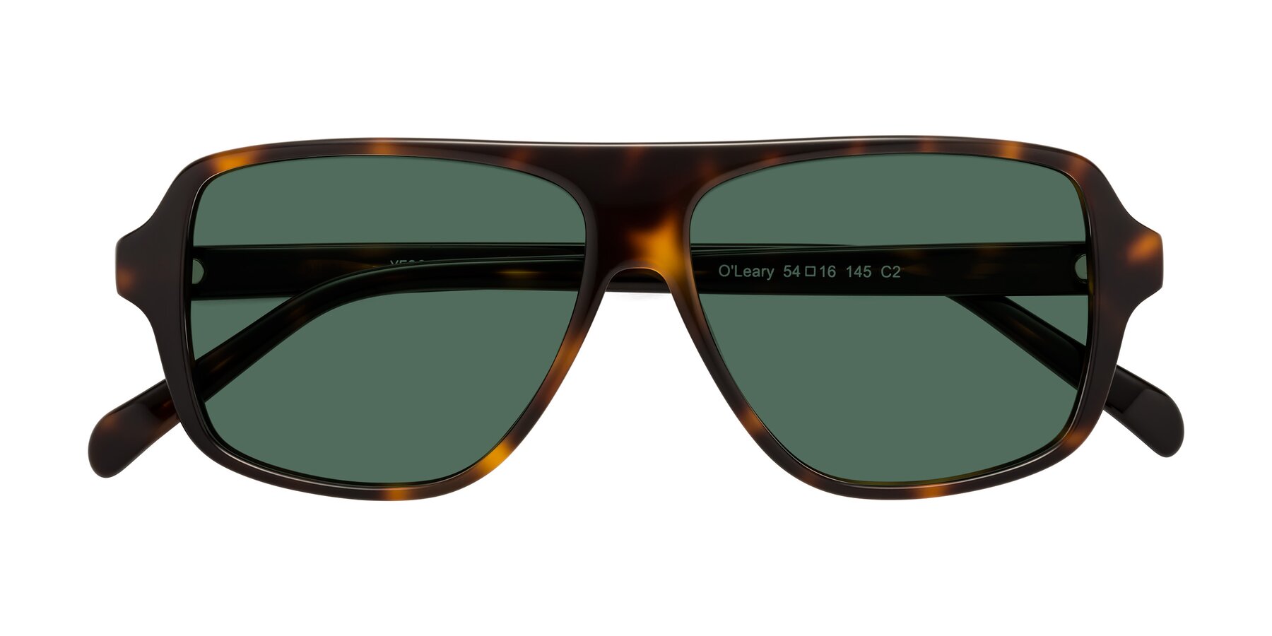 Folded Front of O'Leary in Tortoise with Green Polarized Lenses