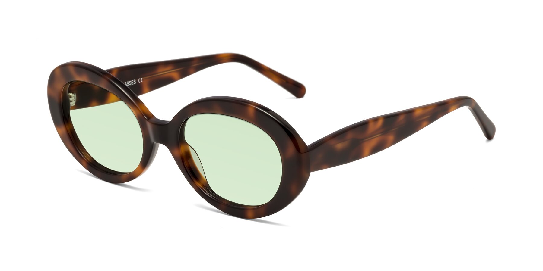 Angle of Fair in Tortoise with Light Green Tinted Lenses