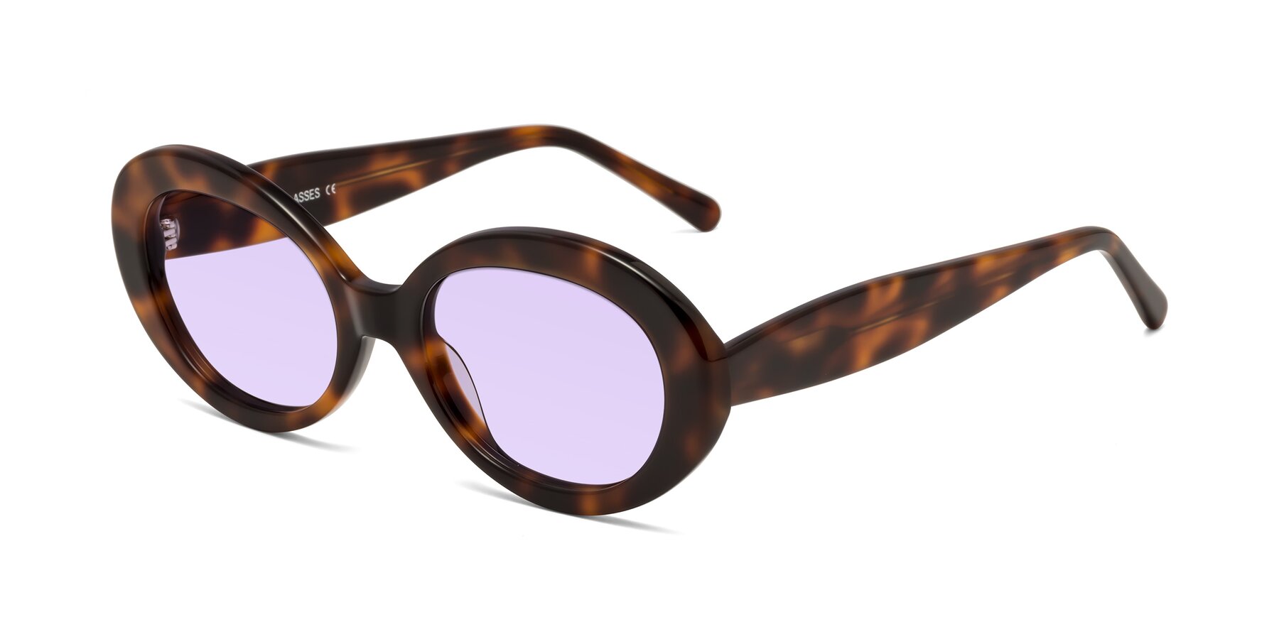 Angle of Fair in Tortoise with Light Purple Tinted Lenses