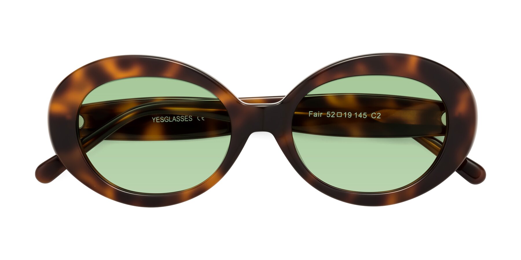 Folded Front of Fair in Tortoise with Medium Green Tinted Lenses