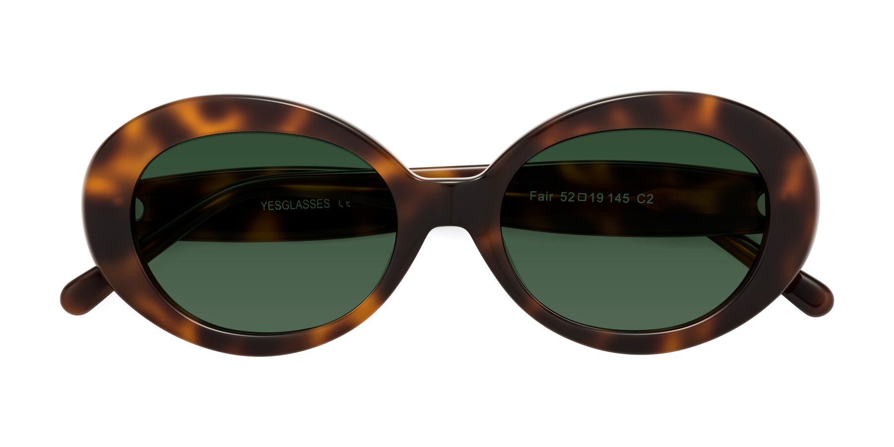 Folded Front of Fair in Tortoise with Green Tinted Lenses