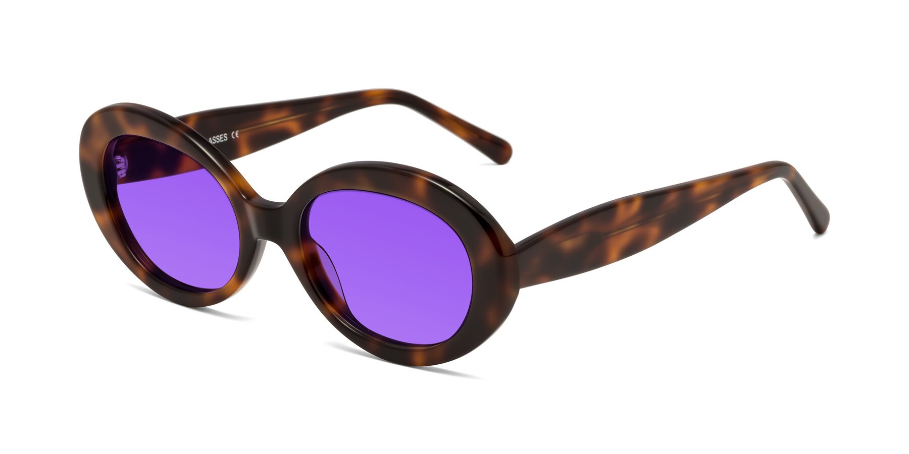 Angle of Fair in Tortoise with Purple Tinted Lenses