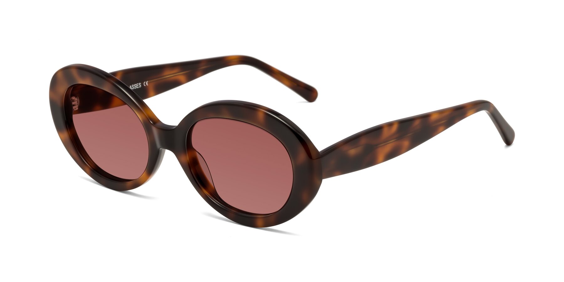 Angle of Fair in Tortoise with Garnet Tinted Lenses