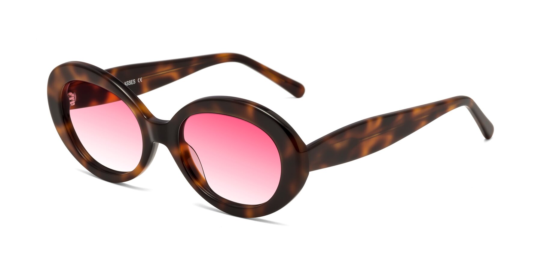 Angle of Fair in Tortoise with Pink Gradient Lenses
