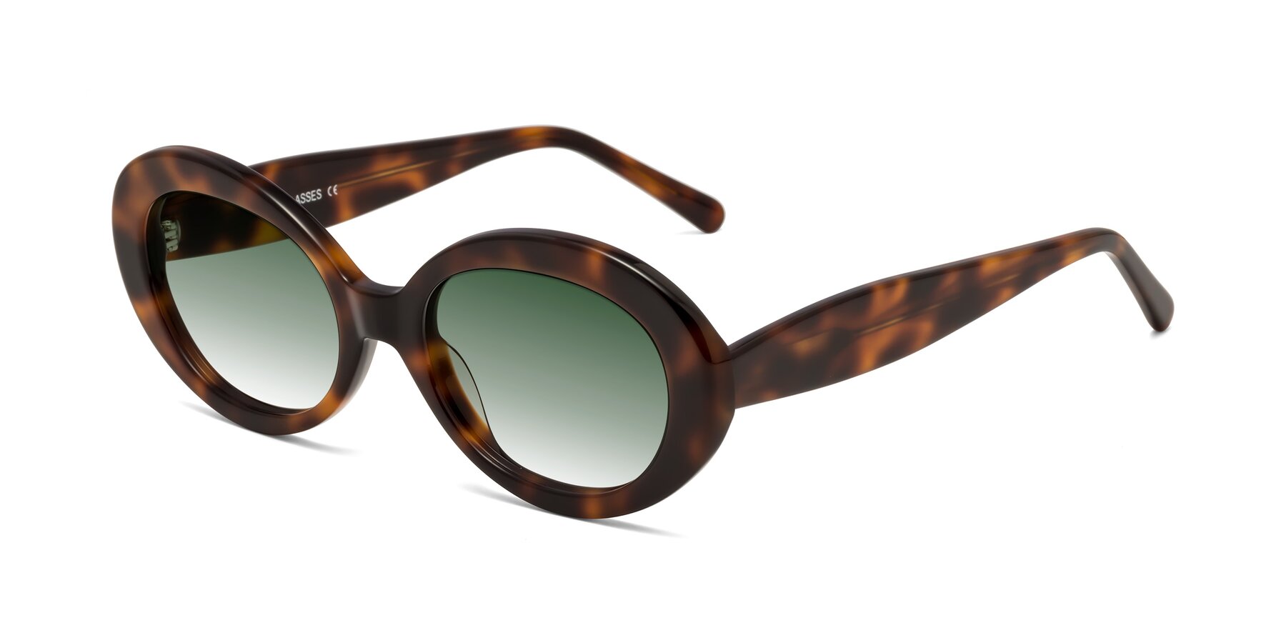 Angle of Fair in Tortoise with Green Gradient Lenses